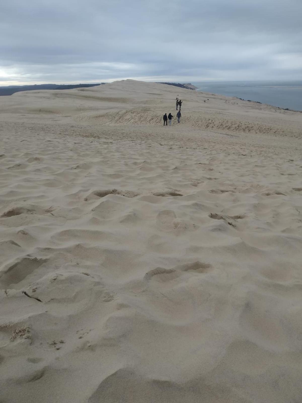 Chambres Du Petit Bonheur Biscarrosse Exteriör bild